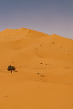 Fas - 28 Eylül 2019: Merzouga, Fas 'taki güzel çöl manzarası