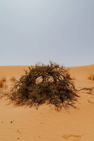 Fas Eylül 2019 Merzouga Fas Taki Güzel Çöl Manzarası — Stok fotoğraf