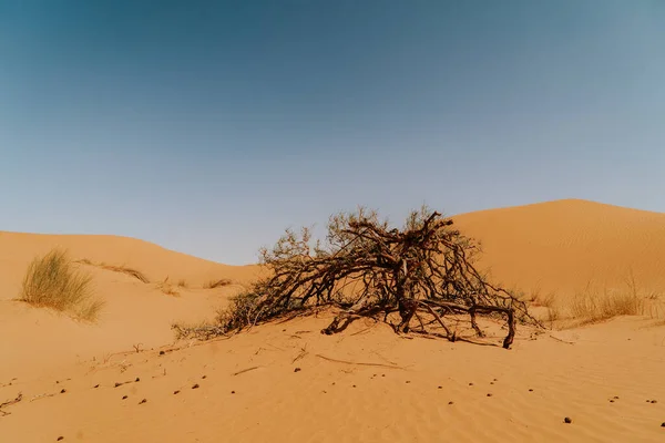Marokkó Szeptember 2019 Gyönyörű Sivatagi Táj Merzouga Marokkó — Stock Fotó