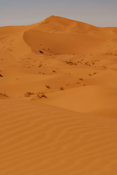 Morocco September 2019 Prachtig Woestijnlandschap Bij Merzouga Marokko — Stockfoto