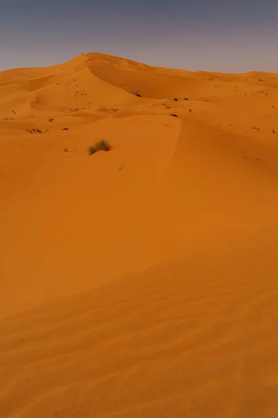 Morocco September 2019 Prachtig Woestijnlandschap Bij Merzouga Marokko — Stockfoto