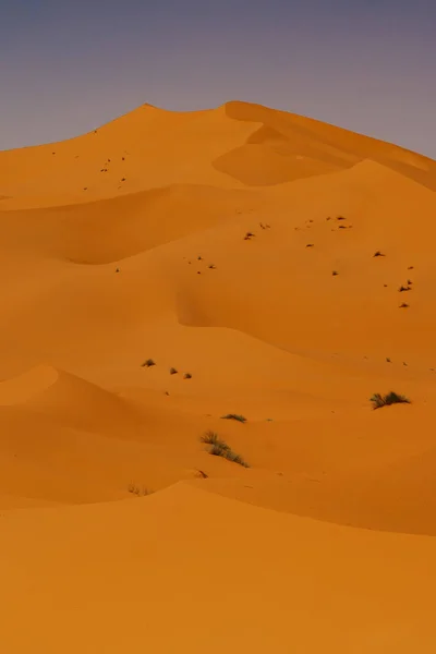 Marroco Setembro 2019 Bela Paisagem Deserta Merzouga Marrocos — Fotografia de Stock