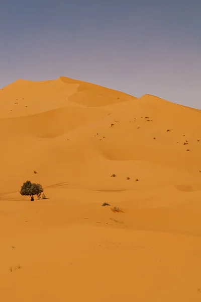 Marruecos Septiembre 2019 Hermoso Paisaje Desértico Merzouga Marruecos —  Fotos de Stock