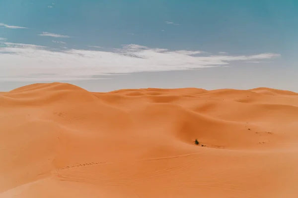 Morocco September 2019 Prachtig Woestijnlandschap Bij Merzouga Marokko — Stockfoto