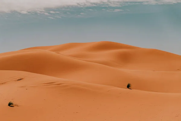 Maroko Září 2019 Krásná Pouštní Scenérie Merzouga Maroko — Stock fotografie