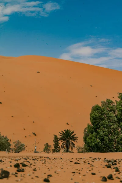 Maroko Września 2019 Piękne Pustynne Krajobrazy Merzouga Maroko — Zdjęcie stockowe