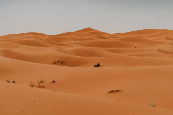 Marroco Setembro 2019 Bela Paisagem Deserta Merzouga Marrocos — Fotografia de Stock