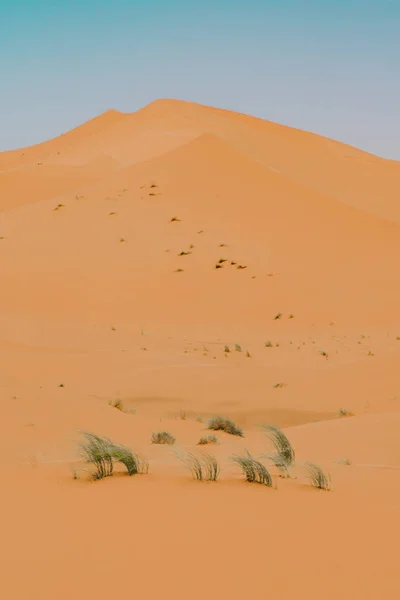 Morocco Σεπτεμβρίου 2019 Όμορφα Τοπία Ερήμου Στη Μερζούγκα Μαρόκο — Φωτογραφία Αρχείου