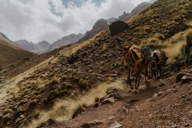 Fas - 28 Eylül 2019: Imlil, Fas 'ta güzel bir manzara