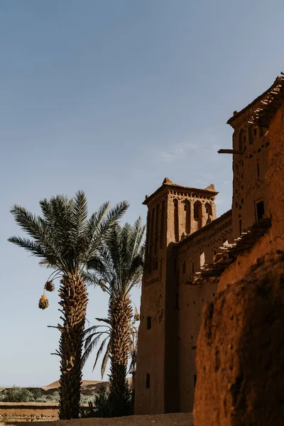 Marruecos Septiembre 2019 Hermoso Paisaje Marruecos — Foto de Stock