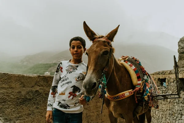 Morocco Septiembre 2019 Gente Local Con Caballo Imlil Marruecos —  Fotos de Stock