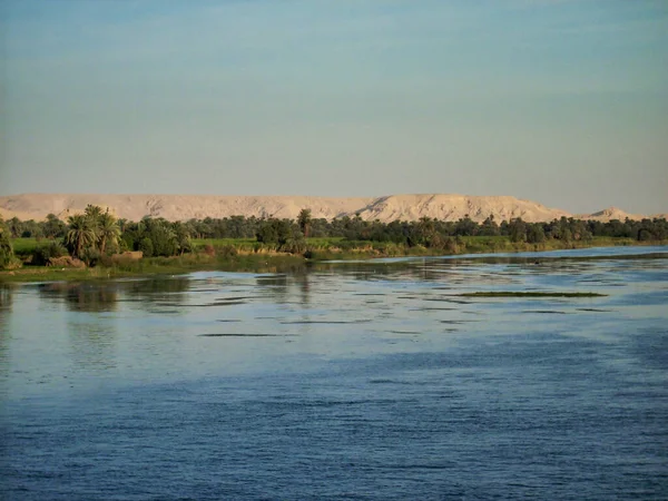 Oasis Avec Palmiers Sur Rive Nil Egypte Afrique — Photo
