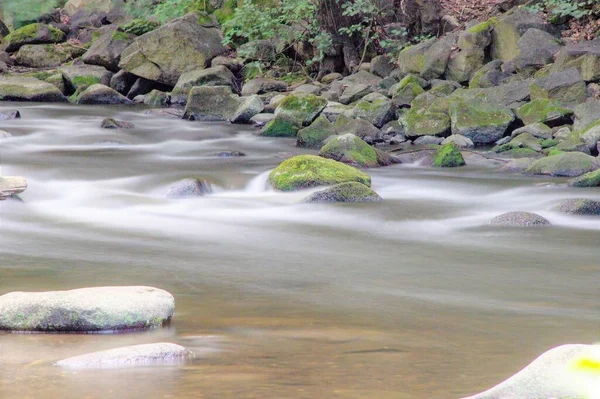 Almanya 'nın Harz Dağları' ndaki Bode Vadisi, suya ipeksi bir etki yaratmak için gri bir filtre kullanılarak tripodla fotoğraflandı.