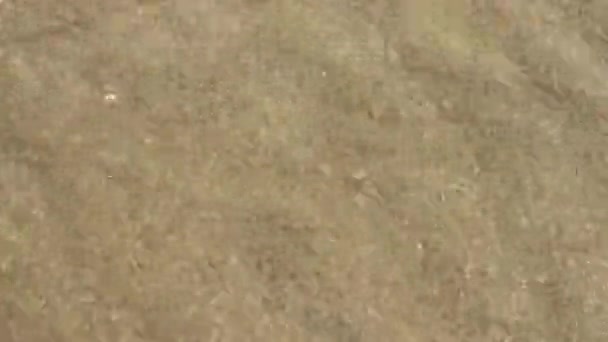 Panning sandigen Meeresboden unter Wasser — Stockvideo