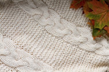 Sonbahar kompozisyonu. Beyaz arka planda ekose, kurumuş yapraklar. Sonbahar, sonbahar konsepti. Düz konum, üst görünüm, kopyalama alanı