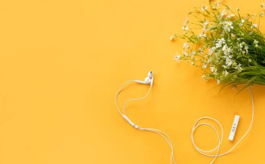 Yaz ya da bahar tatillerinin başında, yukarıdan sarı bir arka plan. Kulaklıklarda en iyi görüntü ve orman çiçekleri olacak. Keyifli bir ruh hali ve yazın melodisi.