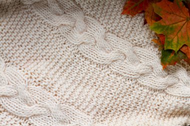 Sonbahar kompozisyonu. Beyaz arka planda ekose, kurumuş yapraklar. Sonbahar, sonbahar konsepti. Düz konum, üst görünüm, kopyalama alanı