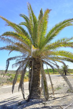 Vacaciones on la costa de Mediterranea.
