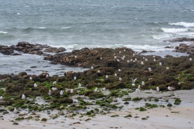 Atlantik kıyıları, güzel manzaralar..