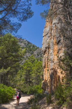 İspanya 'nın güzel dağları.