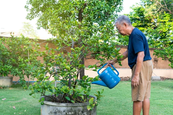 Старший Азиатский Человек Использующий Воду Поливать Липу Концепция Садовника — стоковое фото