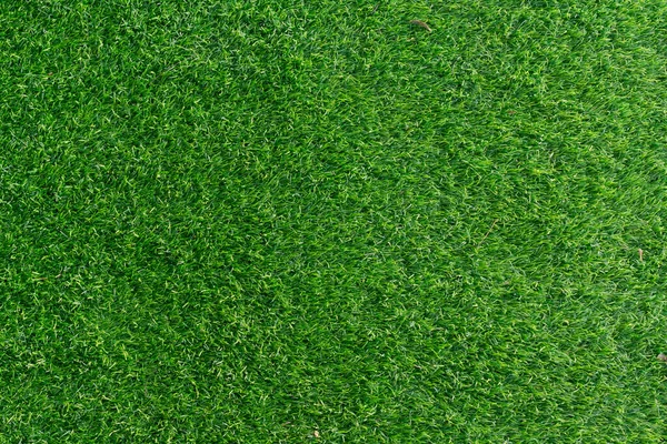 Bild Von Grünem Gras Feld Hintergrund — Stockfoto
