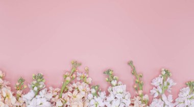 Fotokopi alanı olan pembe arka planda güzel beyaz ve pembe çiçekler