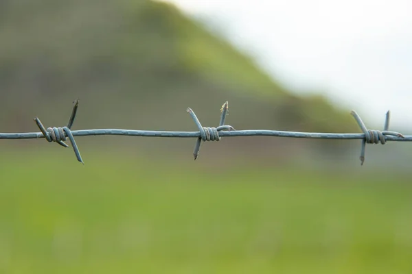 Taggtråd Grönt Landskap Bakgrund — Stockfoto