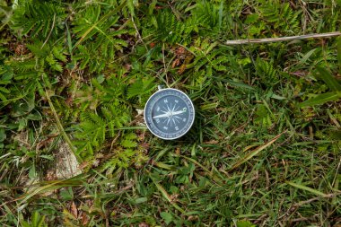 Yeşil çim arka planda pusula