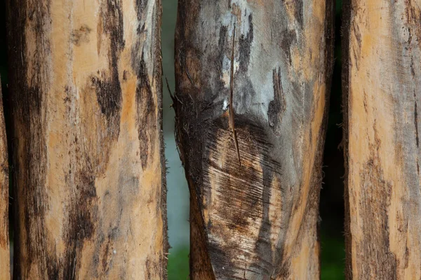 Madeira Natural Serrada Logs Como Fundo — Fotografia de Stock