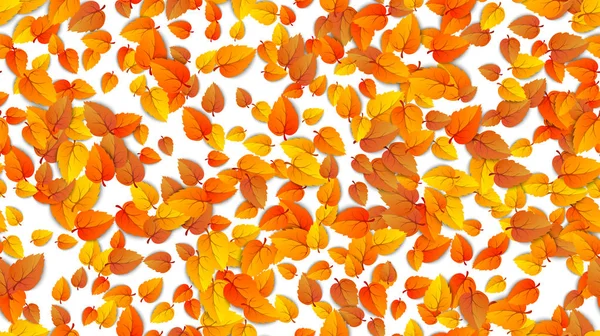 Varrás nélküli őszi levelek vízszintes banner elszigetelt fehér háttér. Reklámsablon arany őszi lombhullólevél-mintával. Vektoros illusztráció — Stock Vector