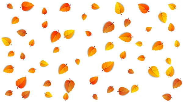 Folhas de outono sem costura banner preenchimento horizontal isolado no fundo branco. Modelo de publicidade com outono dourado cair padrão de folha de laranja. Modelo de design para cenário de venda. Vetor — Vetor de Stock