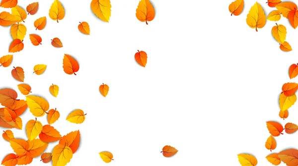 Plantilla de marco de hoja dorada de otoño. Árbol caído hojas de otoño aisladas en blanco. Follaje amarillo de octubre y follaje de naturaleza otoñal. Publicidad otoño oro hoja caída fondo horizontal. Vector — Vector de stock