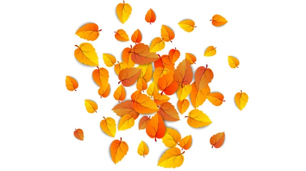 Autumn falling leaves isolated on white background. Autumnal round yellow leaf fall down, Tree foliage and gold leaves. September autumn golden leaf border. Vector illustration eps10 — Stock Vector