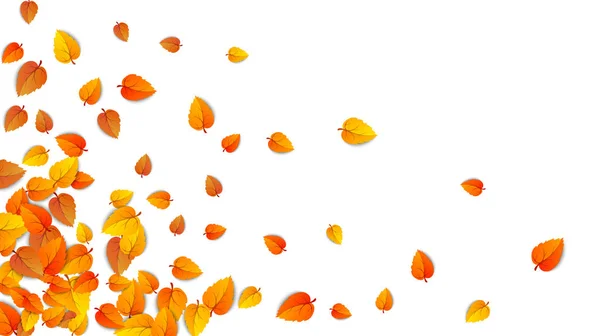 Бесшовные осенние листья горизонтального баннера изолированы на белом фоне. Рекламный шаблон с золотым осенним листом. Осенний сезон цвета модели. Осенняя природа листвы обои рамка. Вектор — стоковый вектор