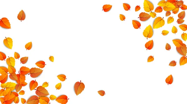 Бесшовные осенние листья горизонтального баннера изолированы на белом фоне. Рекламный шаблон с золотым осенним листом. Осенний сезон цвета модели. Осенняя природа листвы обои рамка. Вектор — стоковый вектор