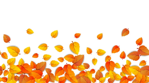 无缝的秋叶水平横幅隔离在白色背景上。带有金秋叶的广告模板。秋季颜色图案。秋天自然树叶壁纸框架。向量 — 图库矢量图片