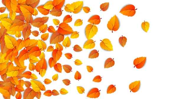 Modelo de moldura de folha dourada de outono. Árvore folhas de outono caídas isoladas em branco. Outubro folhagem amarela e folhagem de natureza outonal. Publicidade outono ouro queda folha horizontal fundo. Vetor — Vetor de Stock