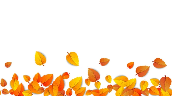 Herbst Blätter horizontale Banner isoliert auf weißem Hintergrund. Werbevorlage mit goldenem Herbstblatt. Herbst Saison Farben Muster. herbstliche Natur Laub Tapete Rahmen. Vektor — Stockvektor