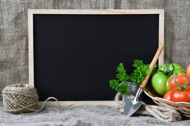 Yağmalama üzerine bahçe malzemesi olan domatesler. Boşluğun kopyası