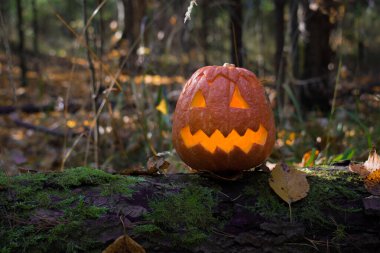 Açık bir fotodhuha üzerinde balkabağı.