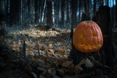 Karanlık bir ormandaki bir kütüğe gülümseyen bir balkabağı..