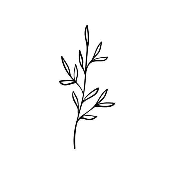 Μαύρο Κλαδί Περιγράμματος Φύλλα Που Απομονώνονται Στο Λευκό Χειροκίνητη Διανυσματική — Διανυσματικό Αρχείο