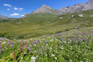 Hinterrhein San Bernardino, dağ geçidi, İsviçre.