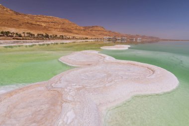 Ölü Deniz kıyı şeridi beyaz tuz ve dağ Ein Bokek, İsrail.