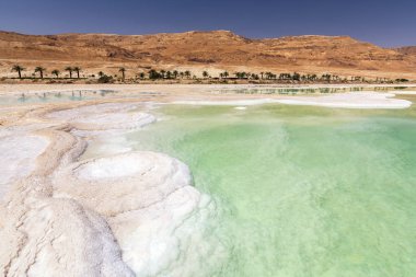 Dead Sea, çevre Neve Zohar, İsrail'in kıyısında Ein Bokek otel ve tatil bölgesinde tuz oluşumu.