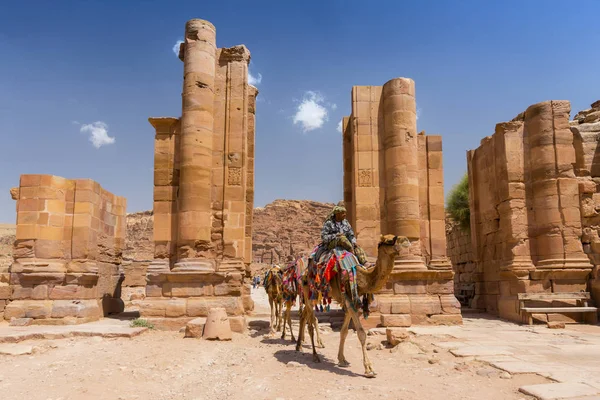 Camellos Cruzando Puerta Temenos Calle Columnada Petra Jordania — Foto de Stock