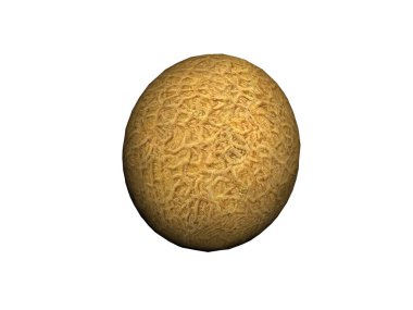 Yazın lezzetli karpuz.