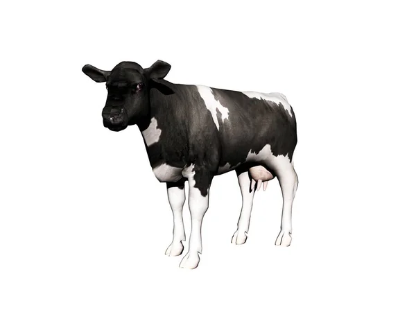 牧草地では食肉供給業者として牛が走り回る — ストック写真