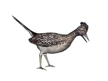 # Çalım atarız etrafta, yemek ararız #